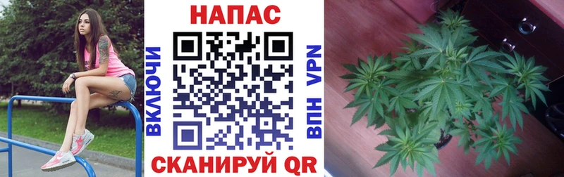 Названия наркотиков Красногорск СК Мефедрон АМФ Cocaine Гашиш