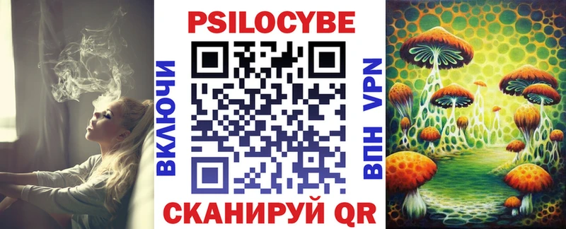 купить наркотики цена  блэк спрут ссылки  Галлюциногенные грибы Psilocybine cubensis  Красногорск 